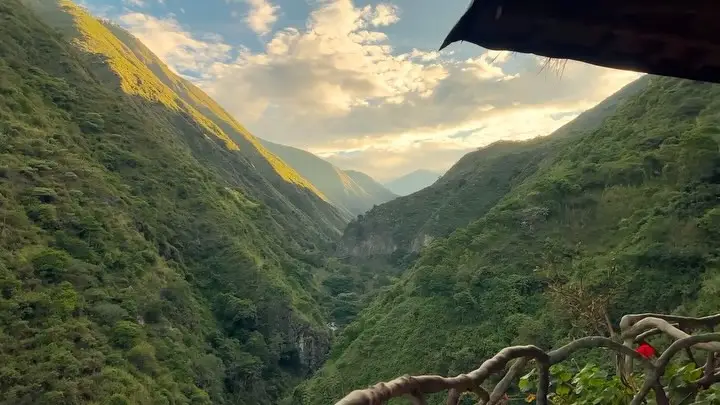 Instagram post thumbnail