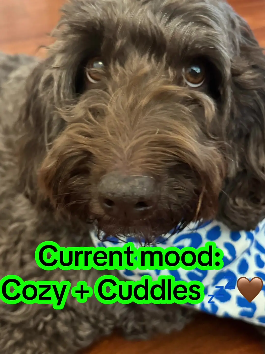Tiktok post preview 1 from @itsdudethedoodle