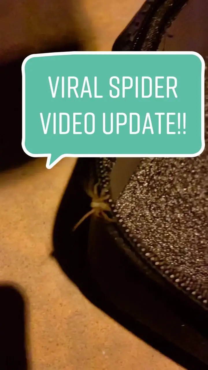 Tiktok post preview 3 from @gawnedsgapyear