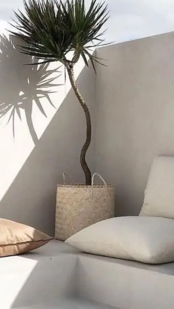 Instagram post thumbnail