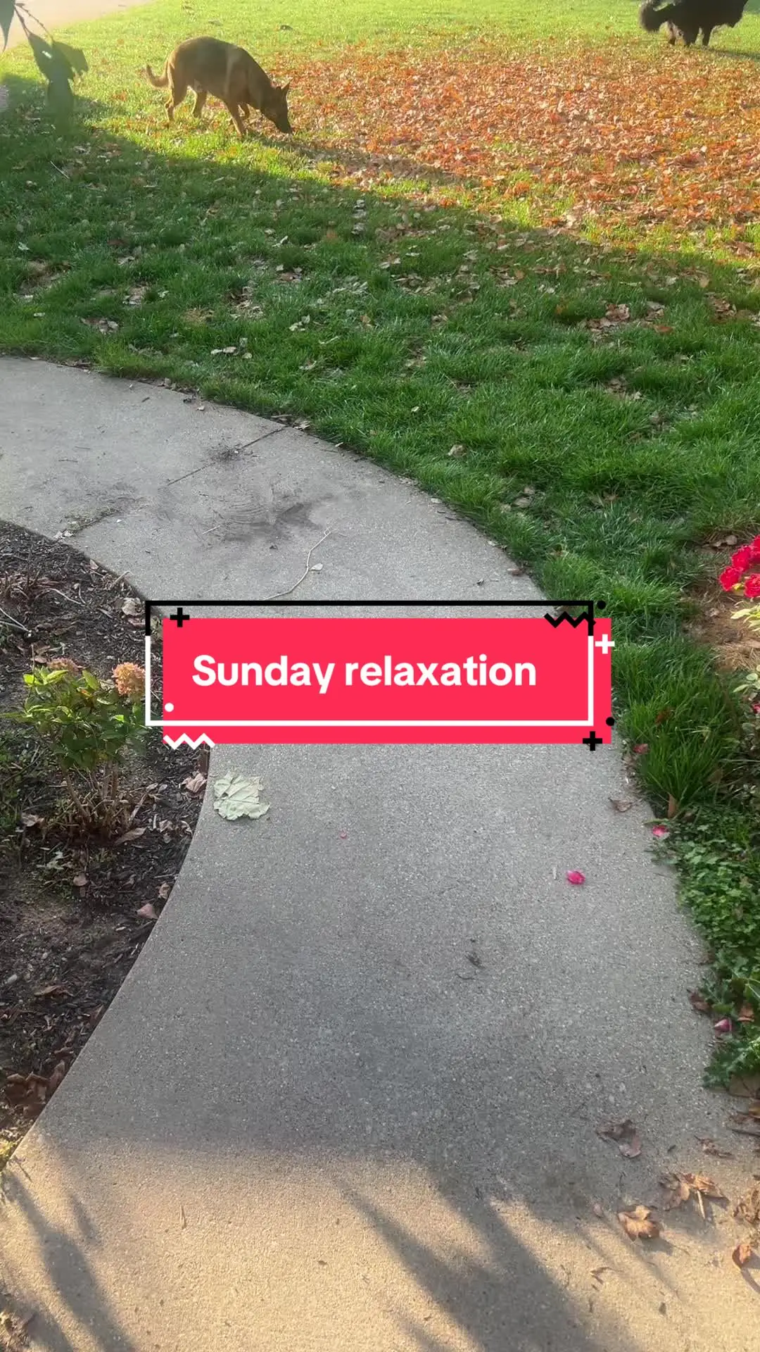 Tiktok post preview 2 from @savinmomma