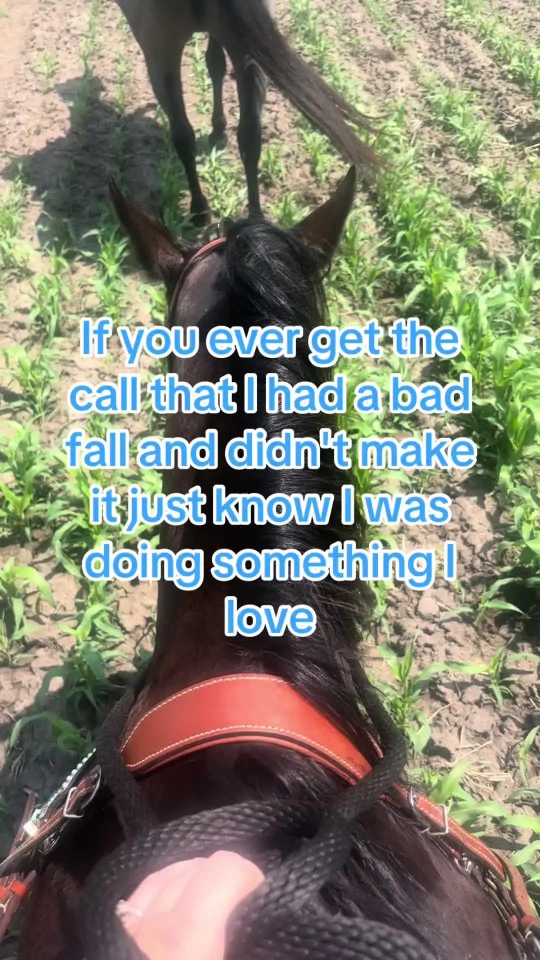 Tiktok post preview 1 from @misskalaknows