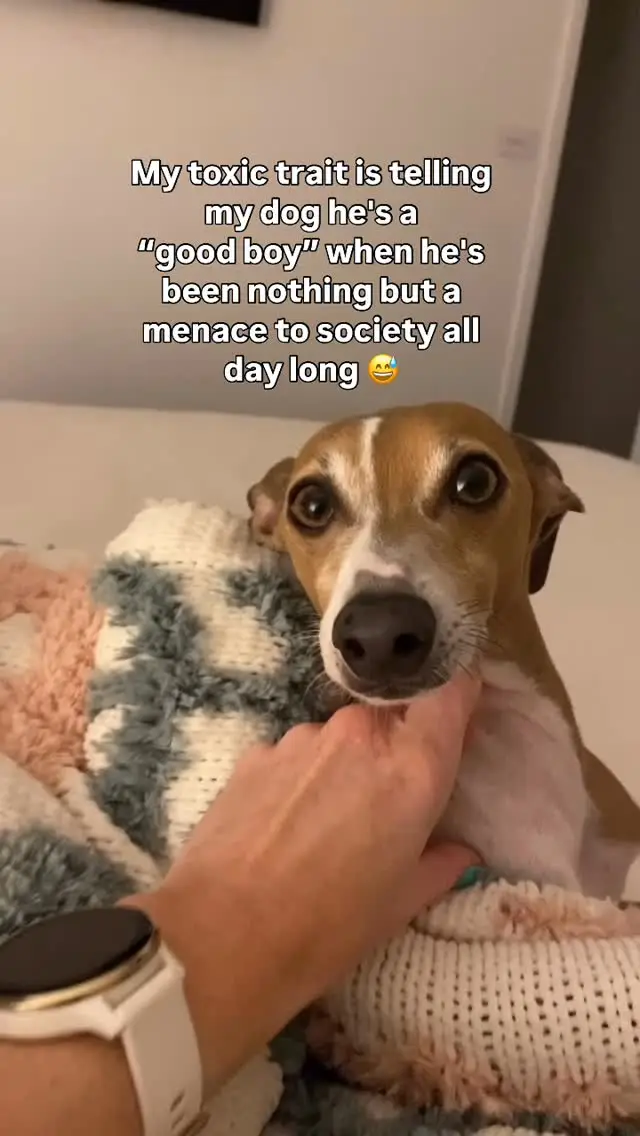 Instagram post thumbnail
