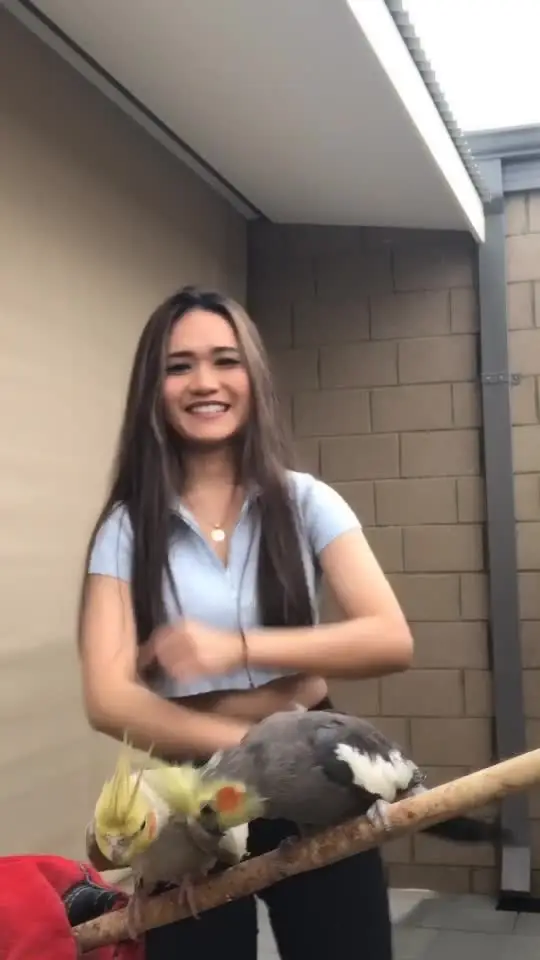 Tiktok post thumbnail