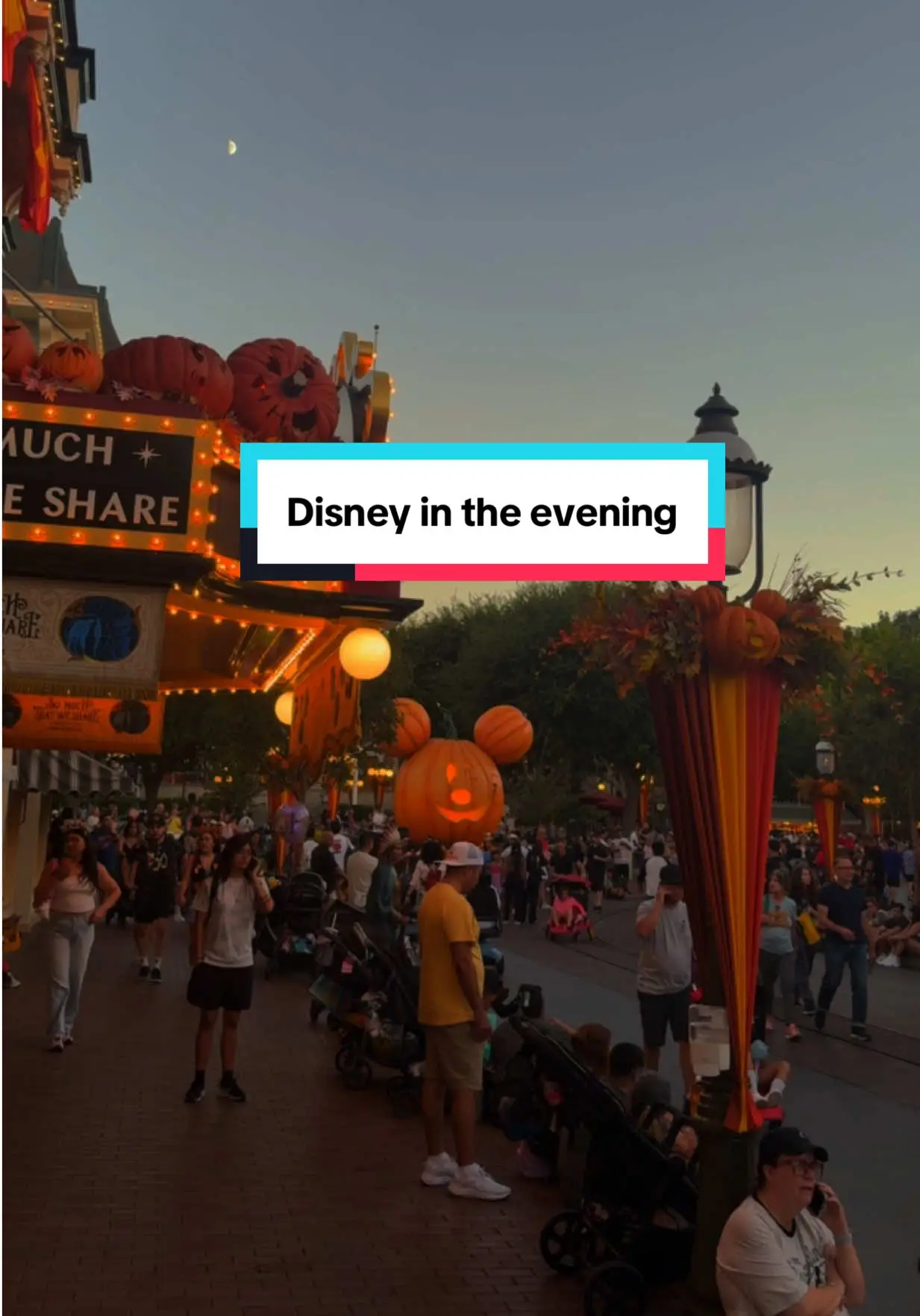 Tiktok post preview 1 from @danny.molly.travel