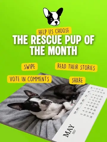 Instagram post thumbnail