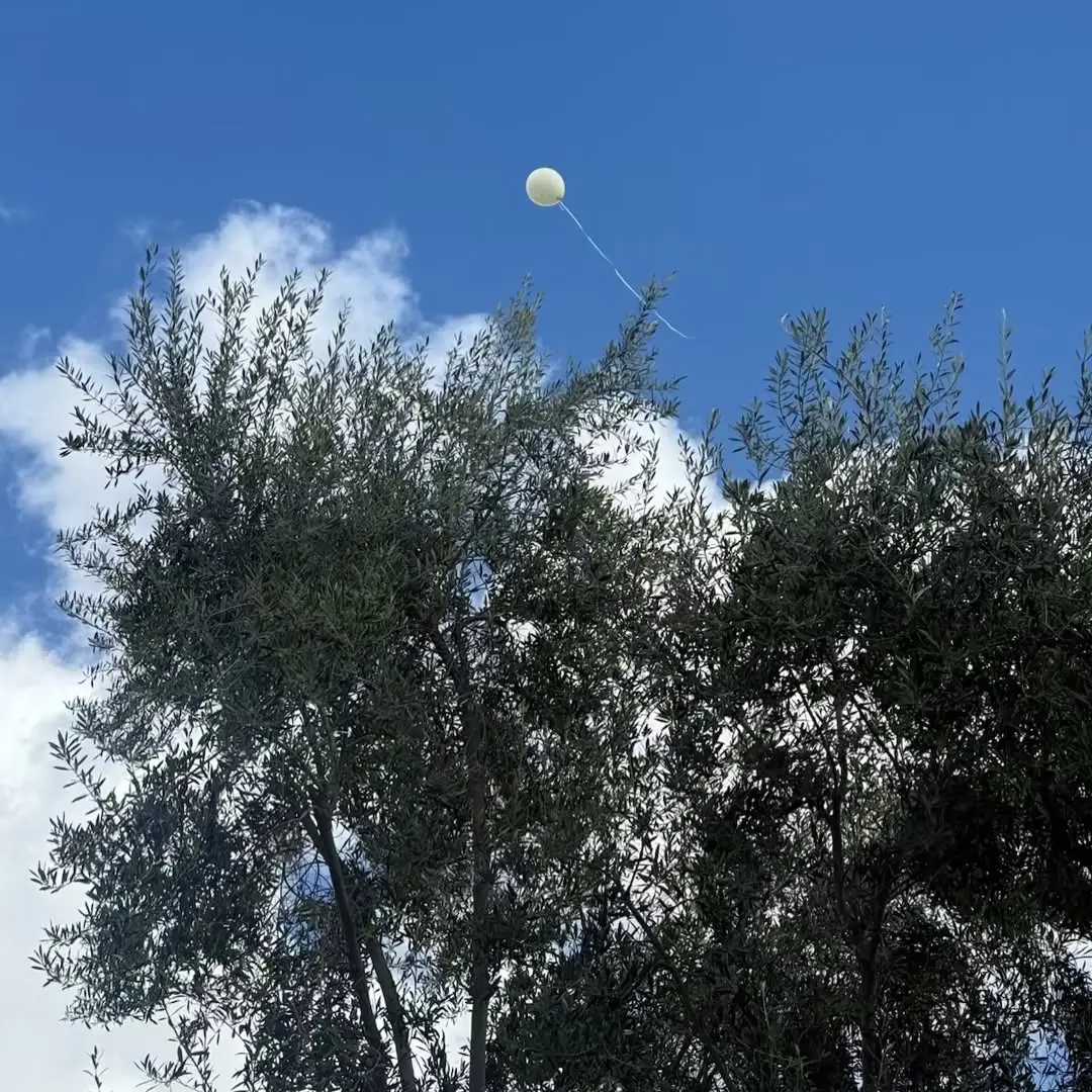 Instagram post thumbnail