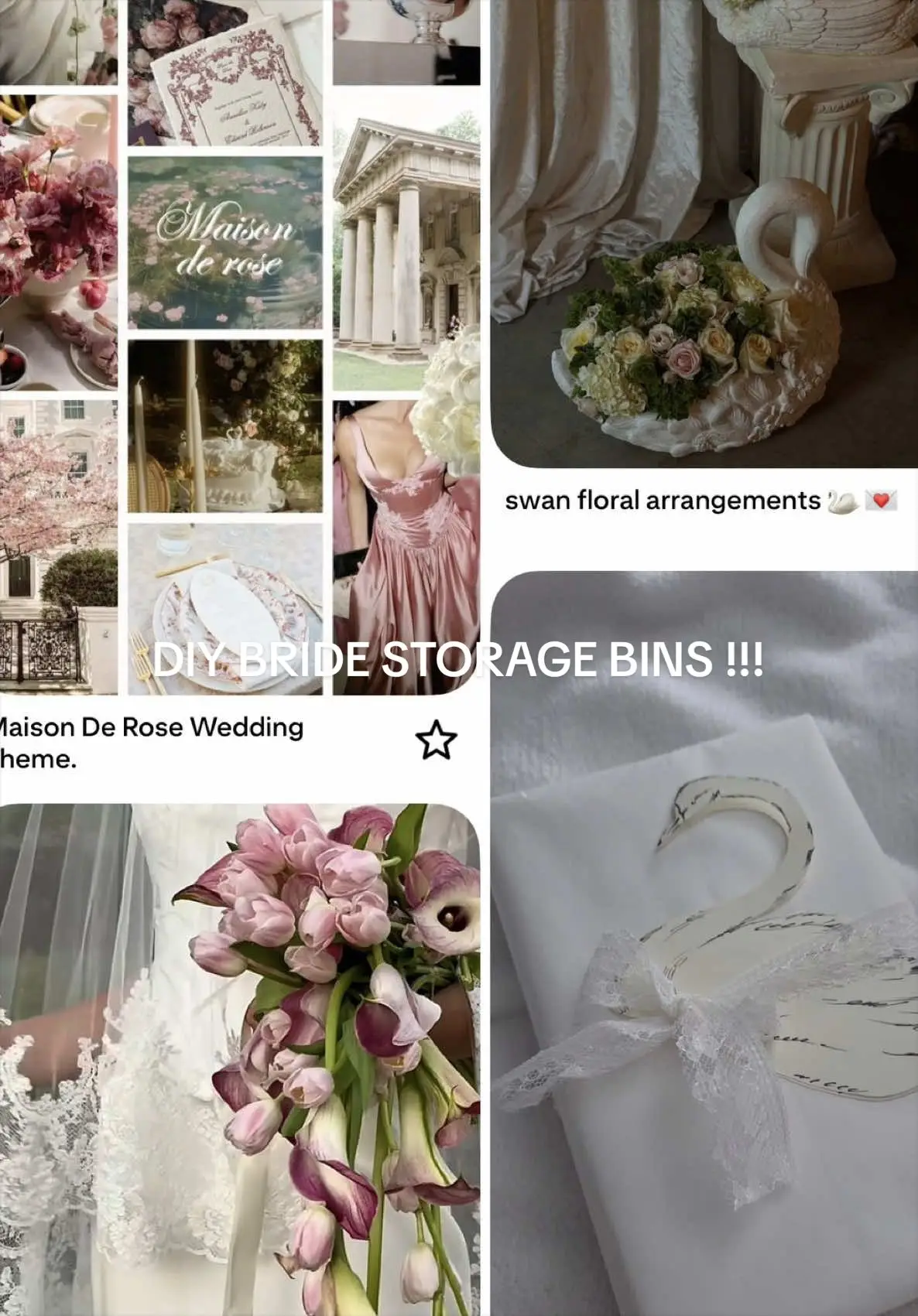 Tiktok post preview 2 from @bonnieleigh124