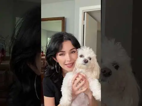 Youtube post preview 2 from UChZEfo0VEo-DVDLDPE-1BJA
