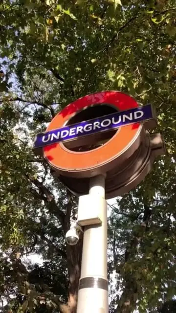Instagram post thumbnail