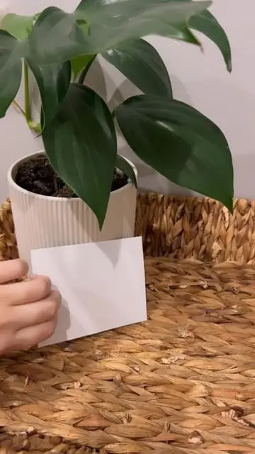Instagram post thumbnail
