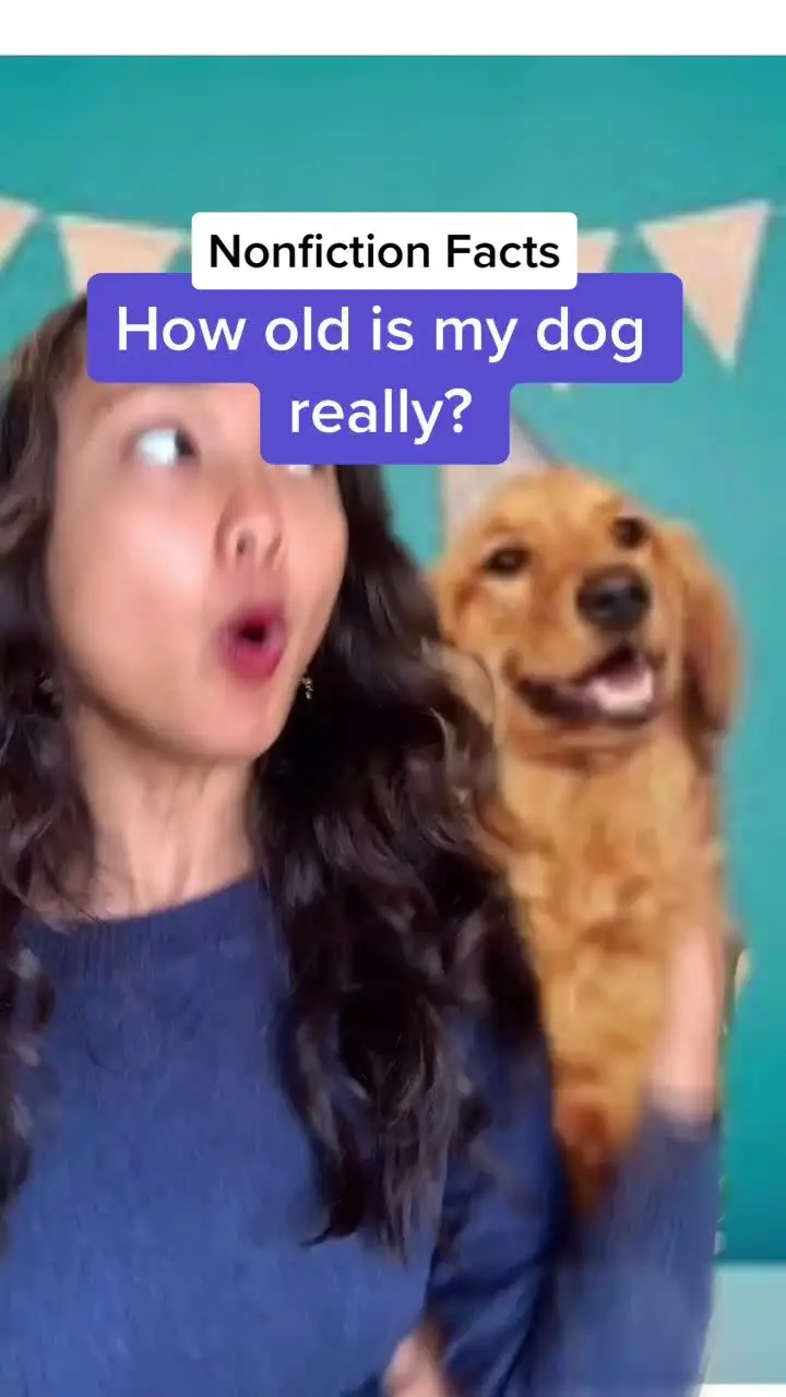 Tiktok post preview 2 from @maistorybook