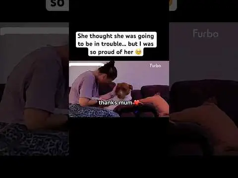 Youtube post preview 2 from UCa8UzgwM04K6xEMVvEZaWpA