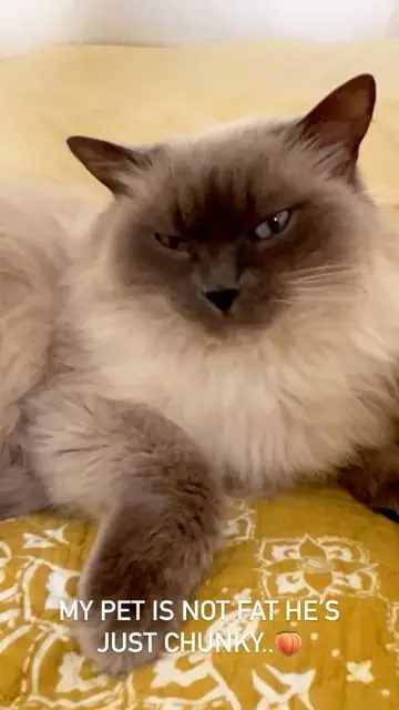 Instagram post thumbnail
