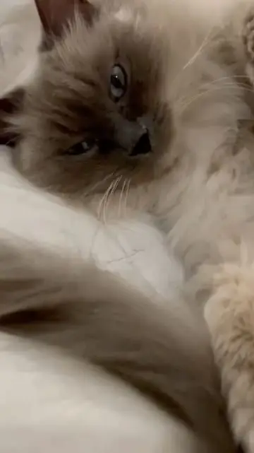 Instagram post thumbnail