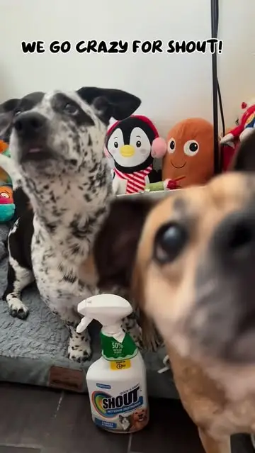 Instagram post thumbnail