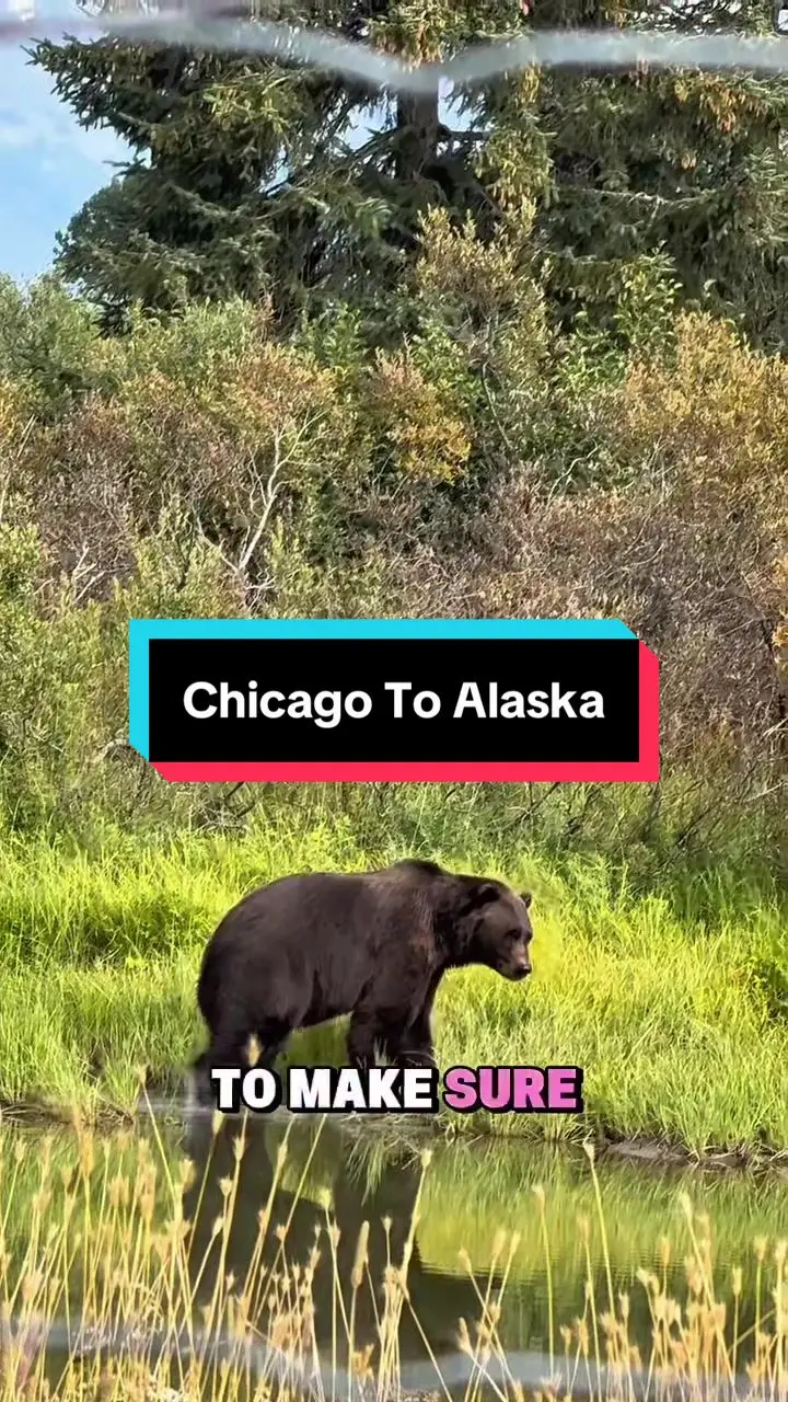 Tiktok post preview 2 from @thekiyarenee
