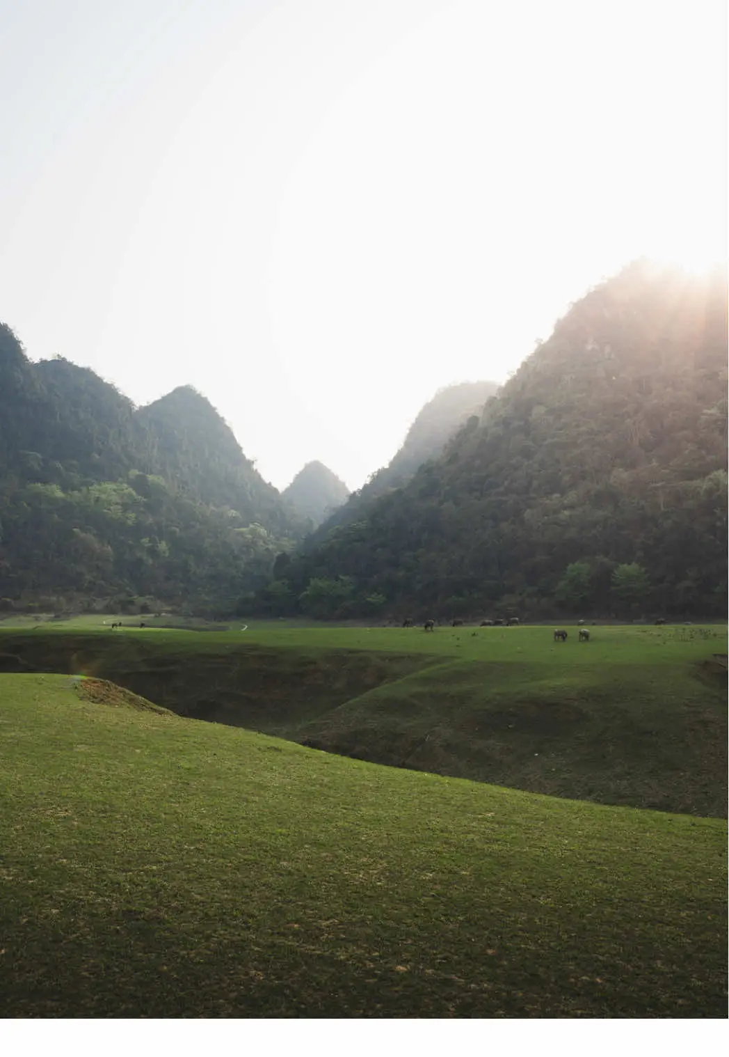 Tiktok post preview 3 from @daron.price