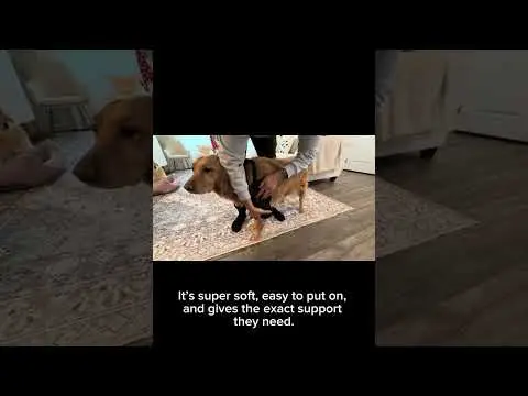 Youtube post thumbnail