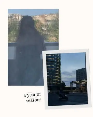 Instagram post preview 3 from vikkalaasgeirs