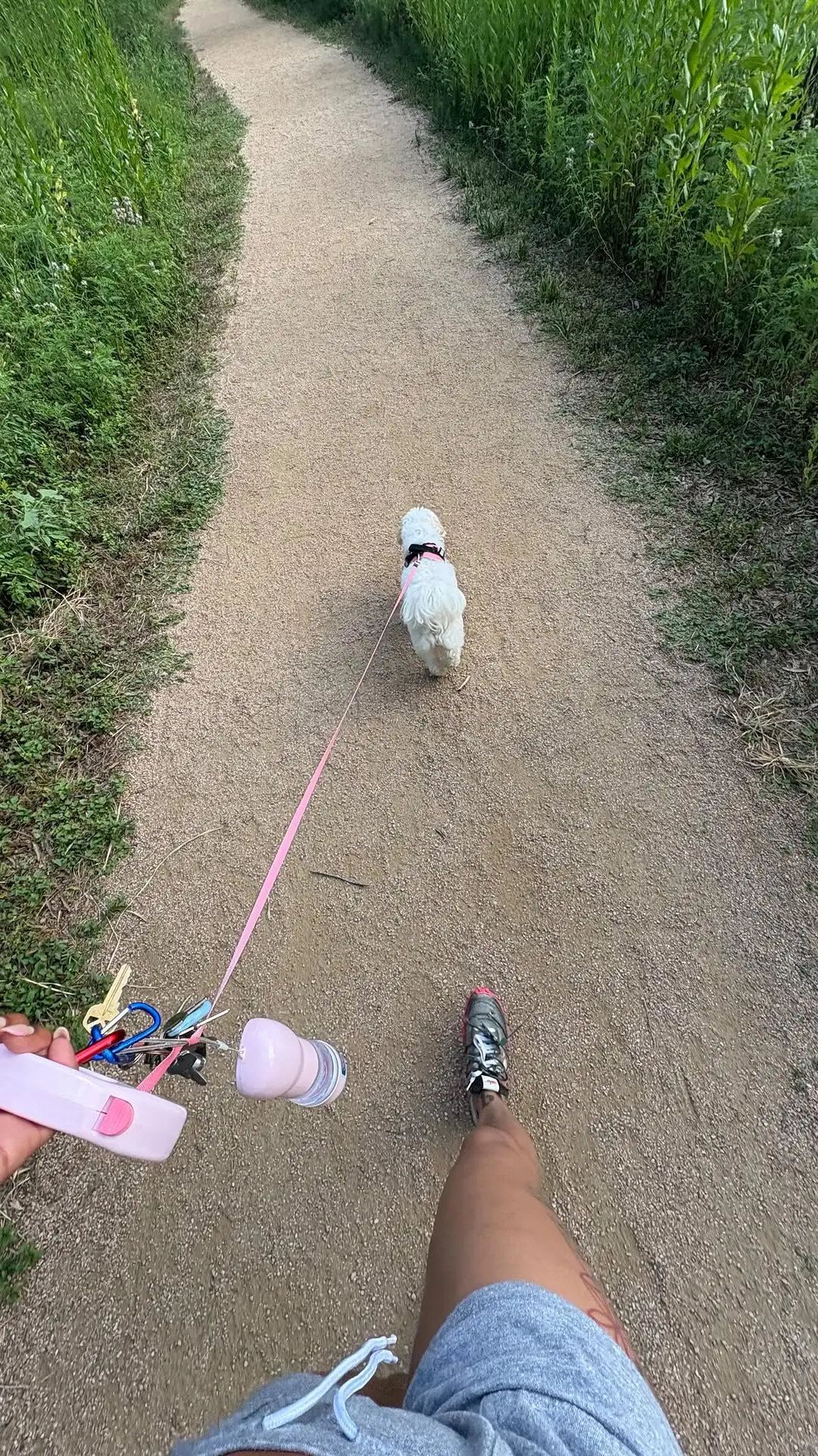 Instagram post thumbnail