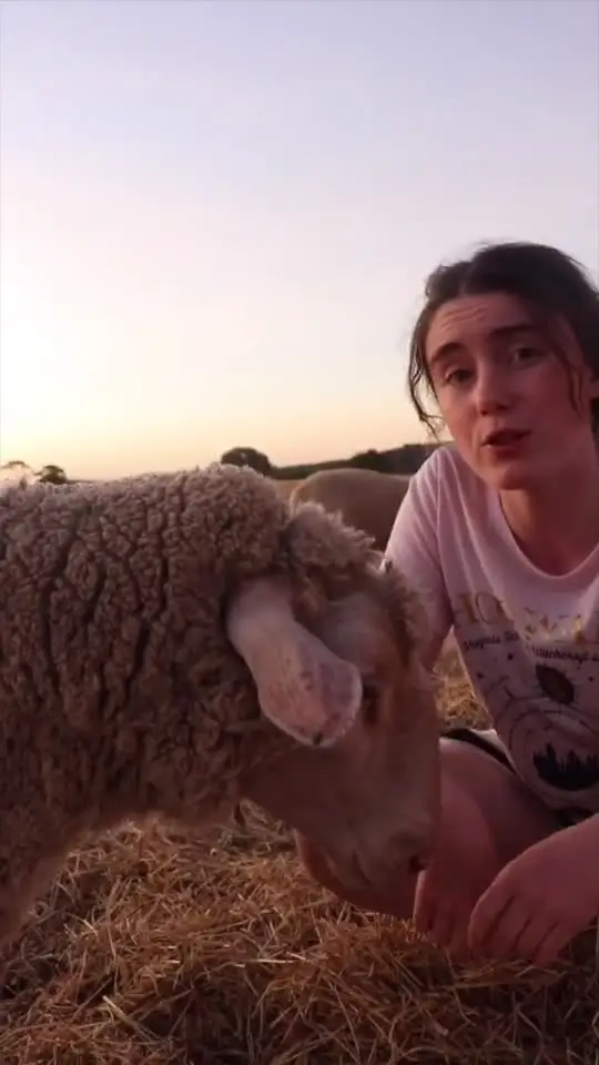 Tiktok post thumbnail