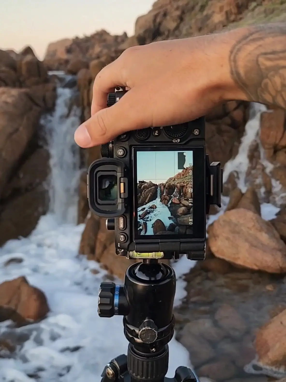 Tiktok post preview 3 from @naturebynathan