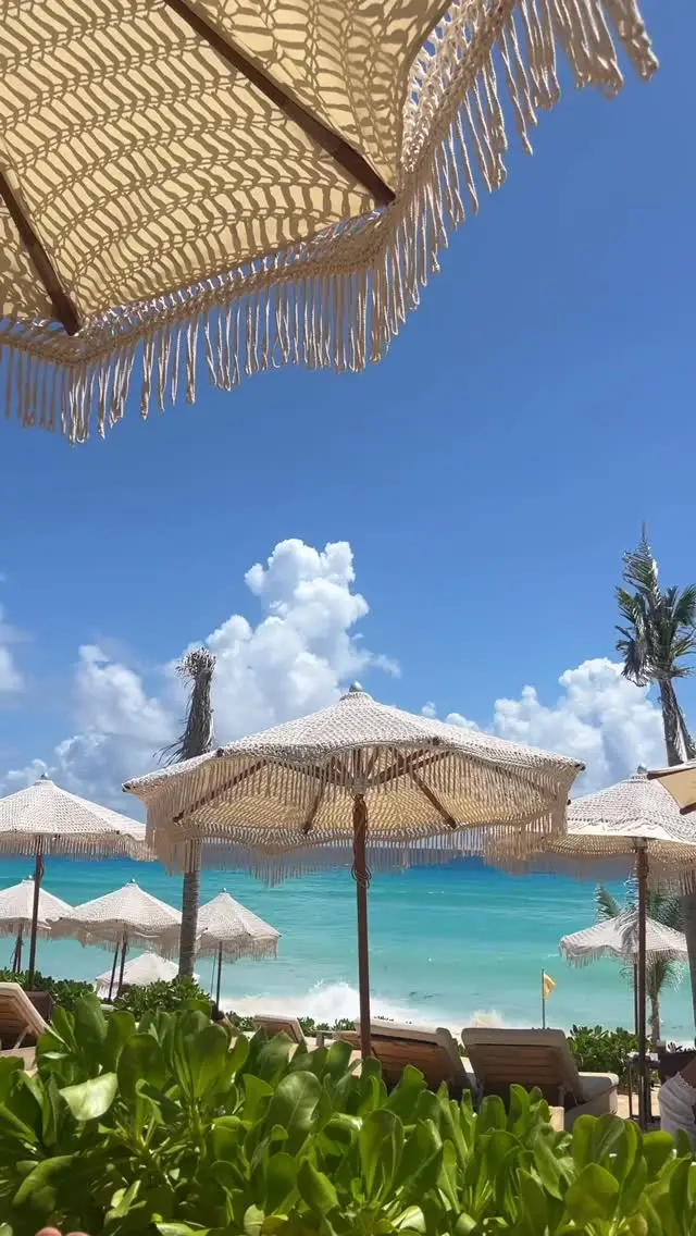 Instagram post preview 2 from diamondmsaint