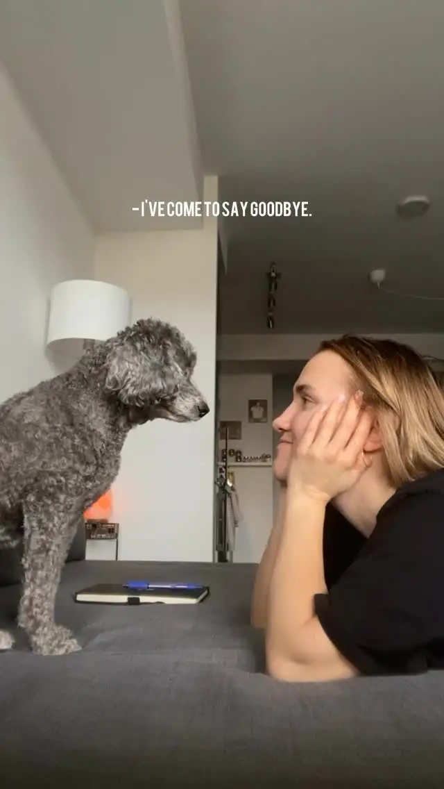 Instagram post thumbnail