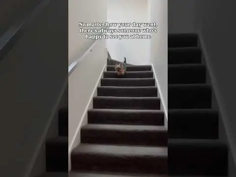 Youtube post preview 3 from UCtvYmwy7r1egBfZ1xlZPXVQ