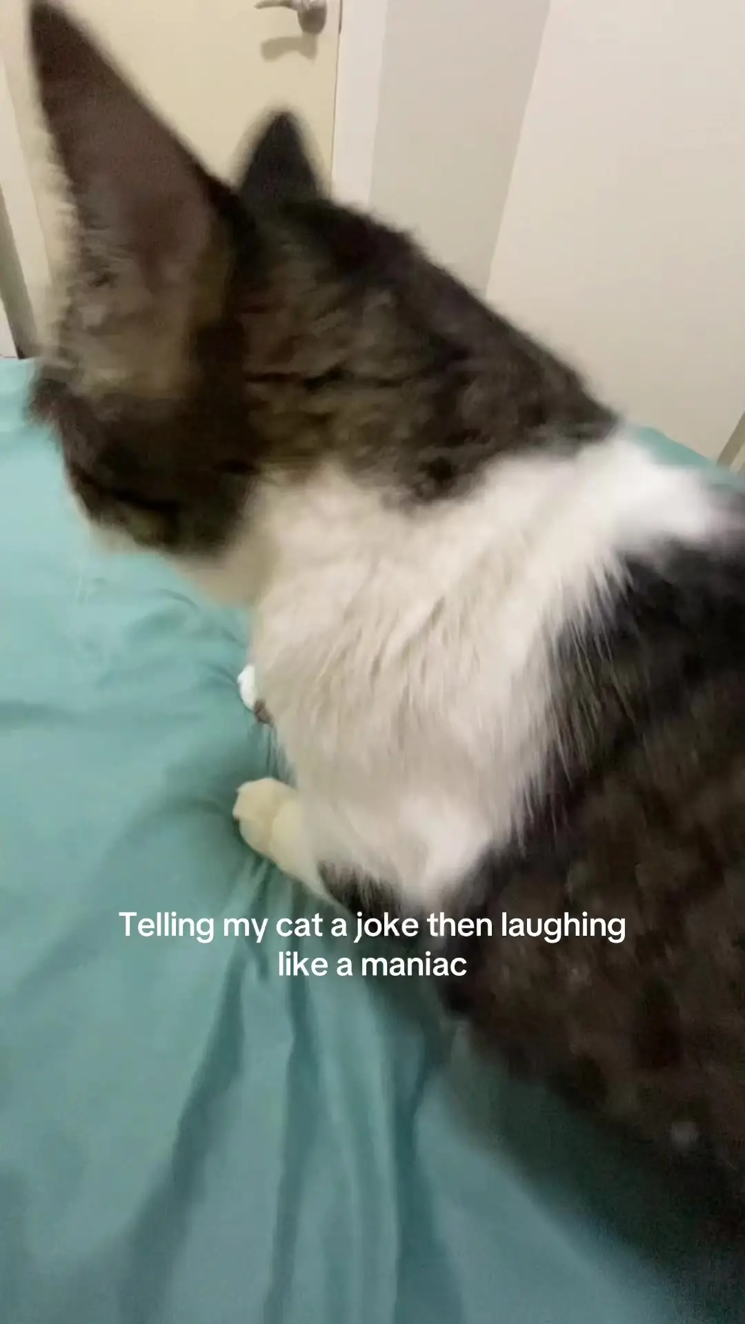 Tiktok post thumbnail