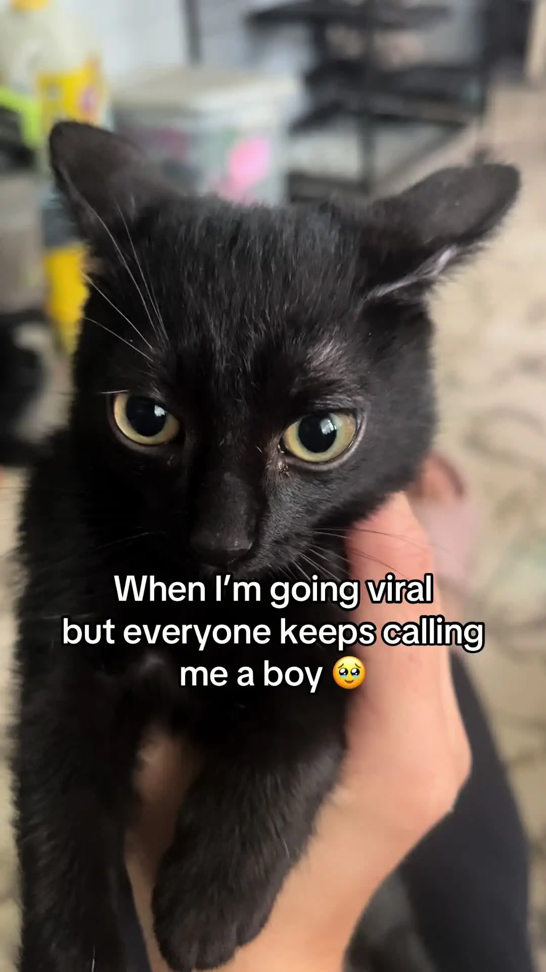 Tiktok post preview 3 from @autumnrrolon