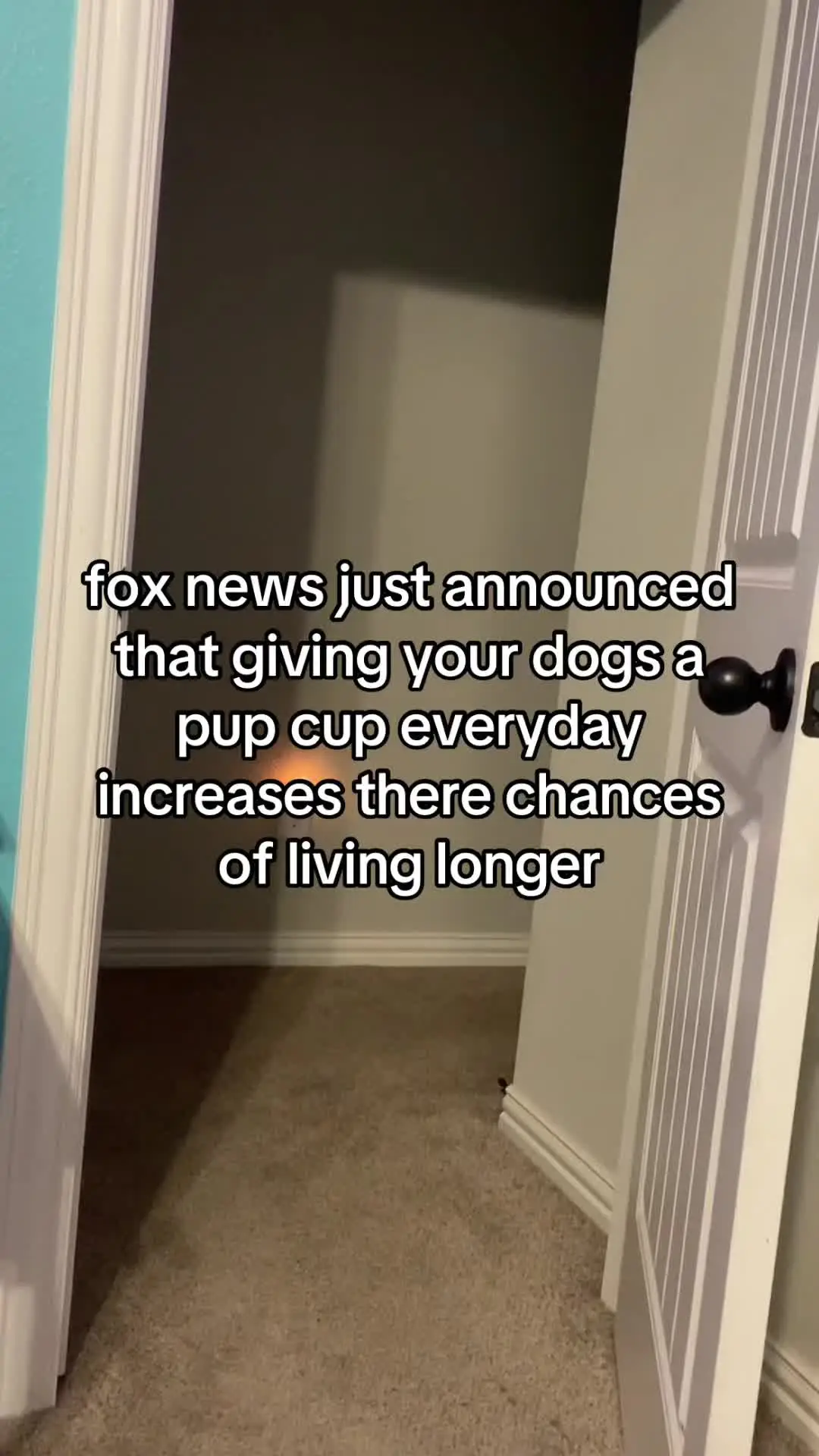 Tiktok post preview 2 from @baileyyboyd