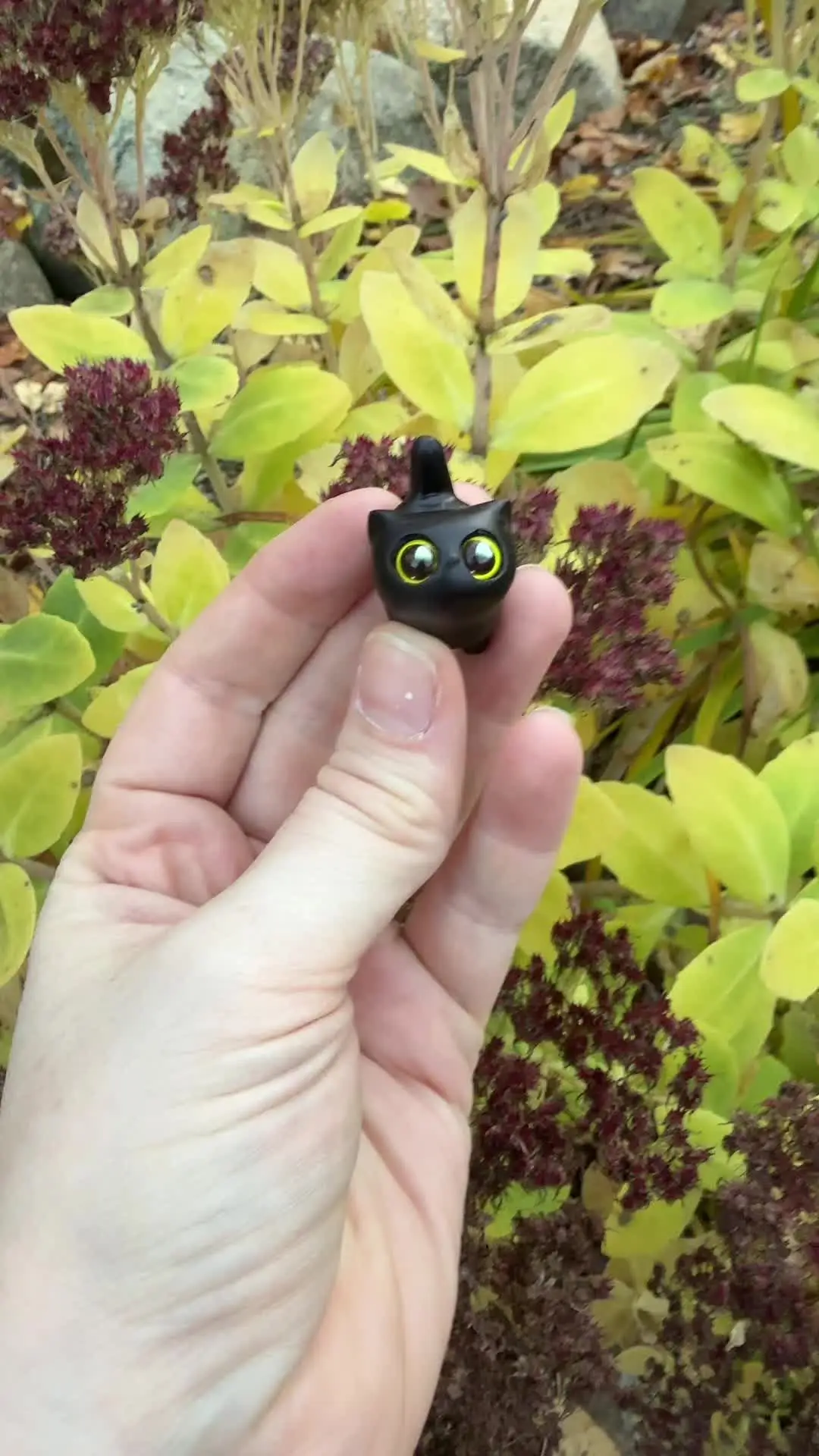 Tiktok post preview 2 from @ashleymarie2500