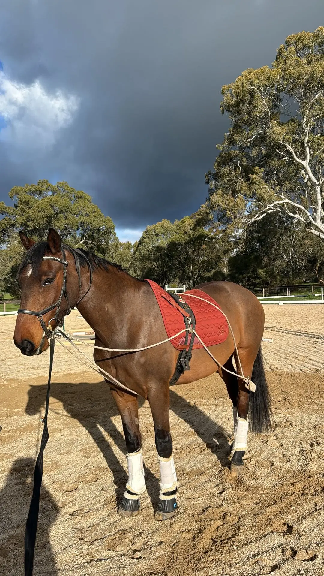 Instagram post preview 2 from nataliestephen_eq