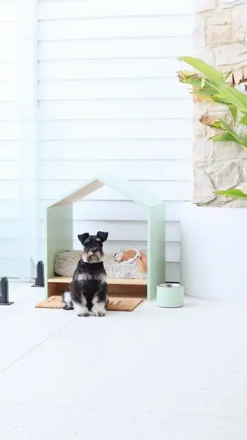 Instagram post thumbnail