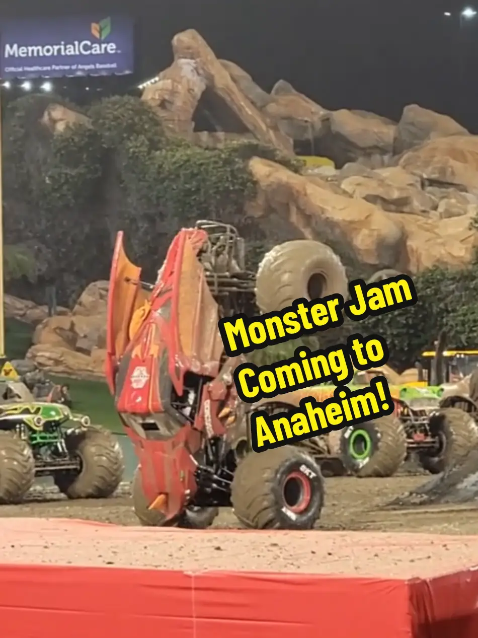 Tiktok post preview 3 from @horsingaroundla