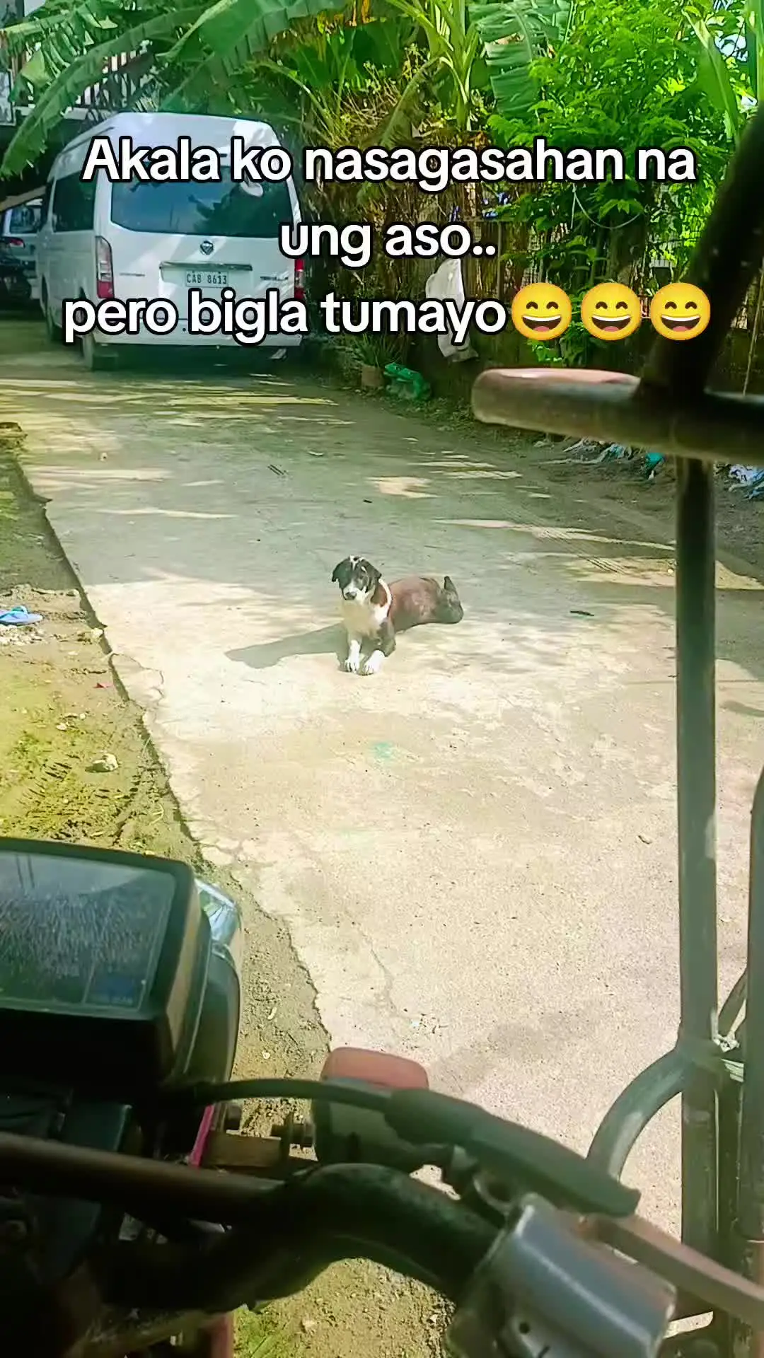 Tiktok post thumbnail