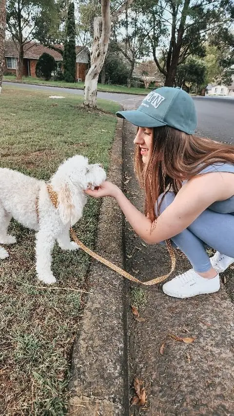 Instagram post thumbnail