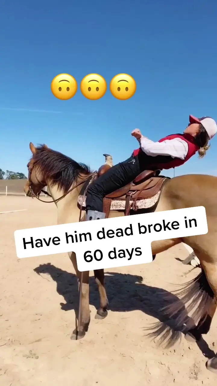 Tiktok post preview 3 from @boujee_vaquera