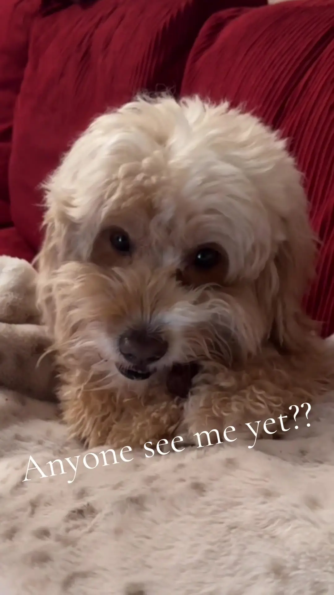 Tiktok post thumbnail