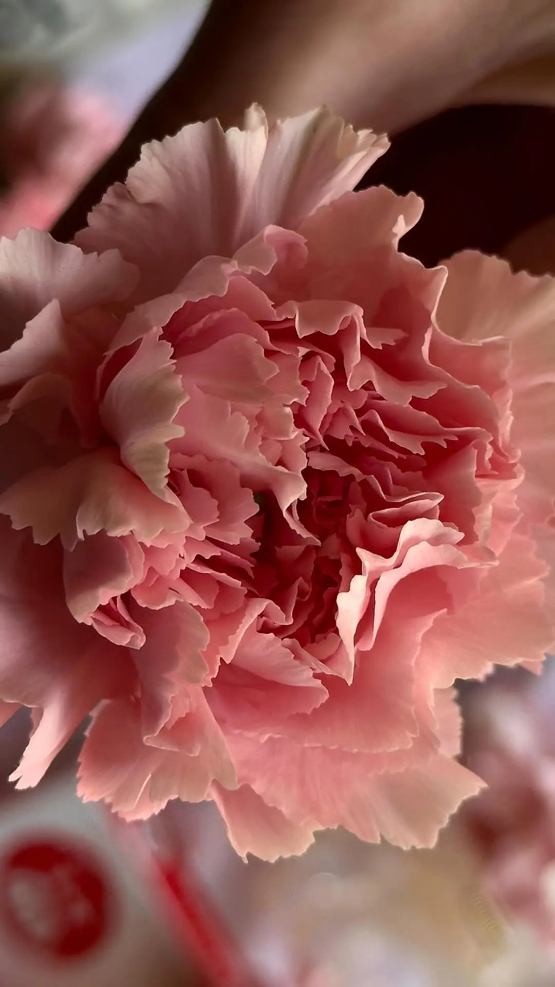 Instagram post thumbnail