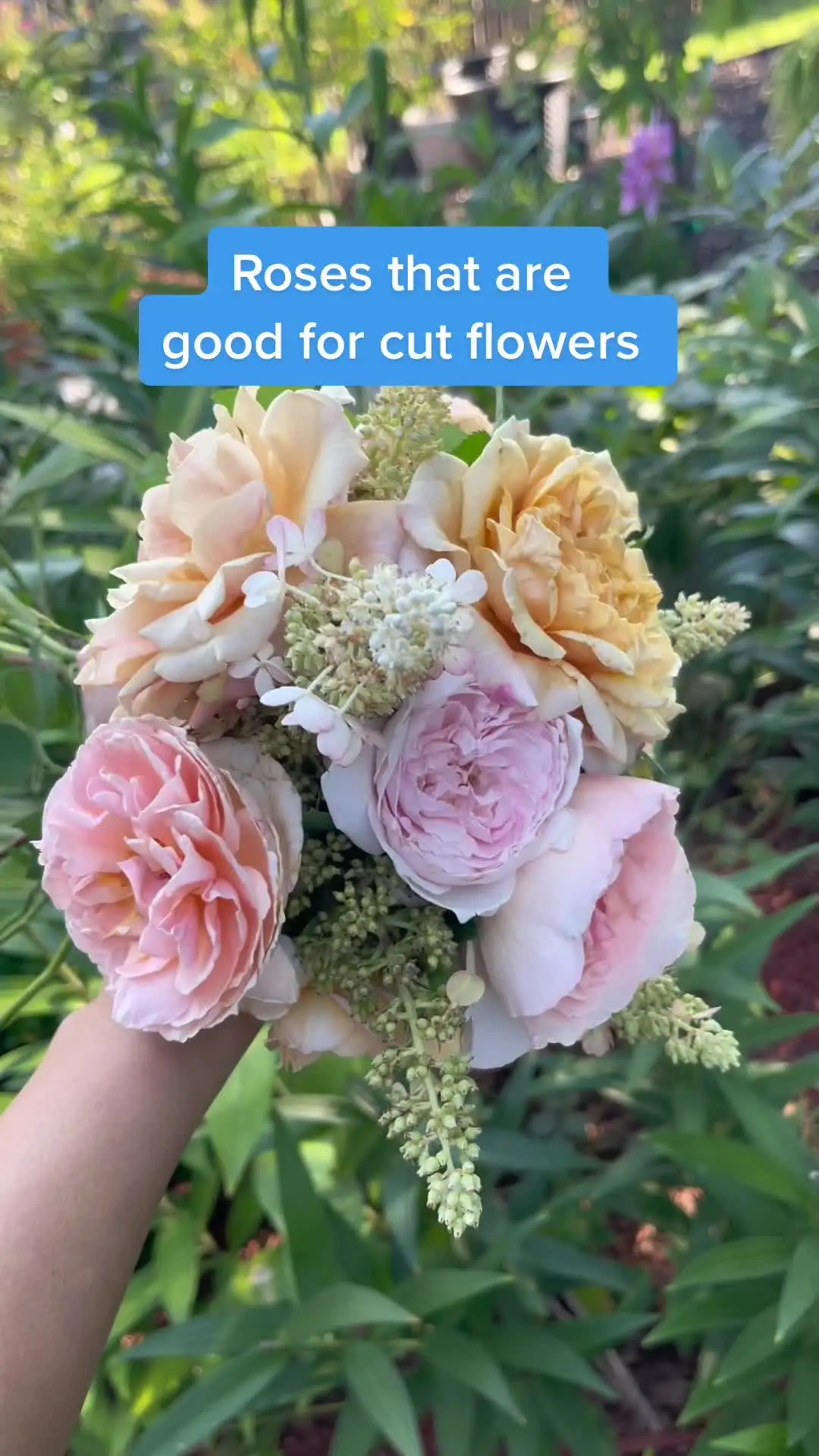 Tiktok post preview 3 from @gardenofadreamer