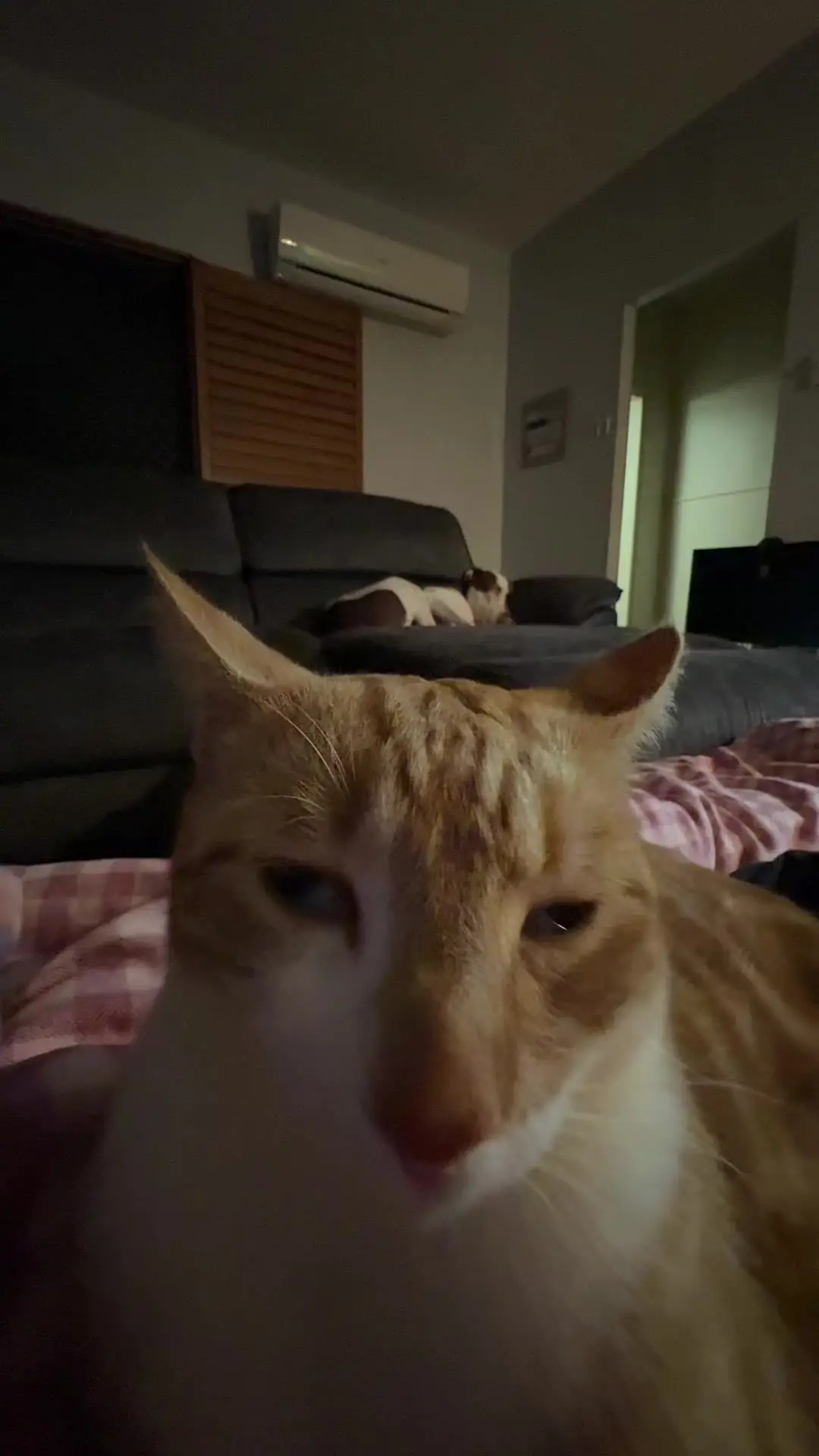 Tiktok post thumbnail