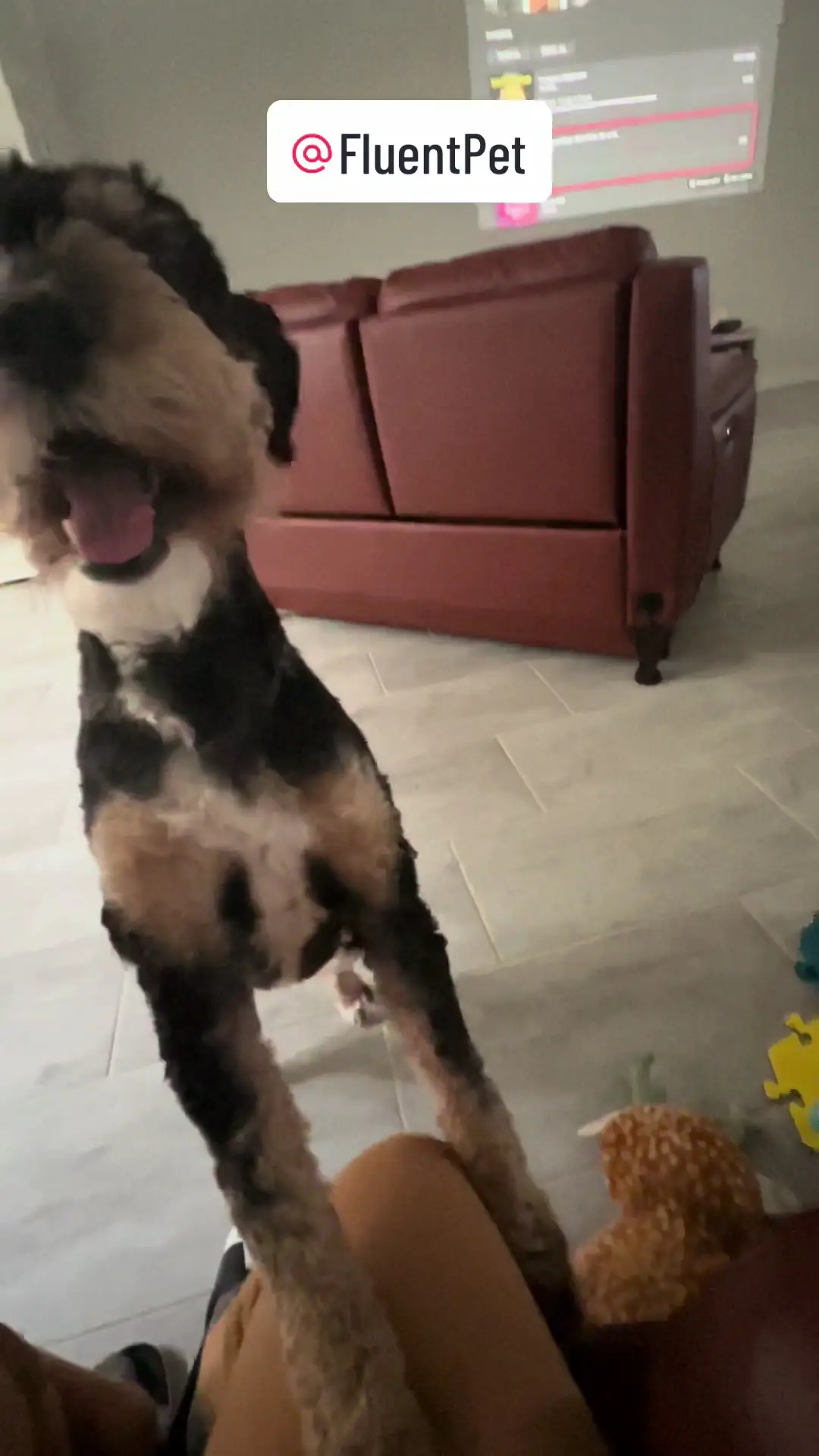 Tiktok post thumbnail