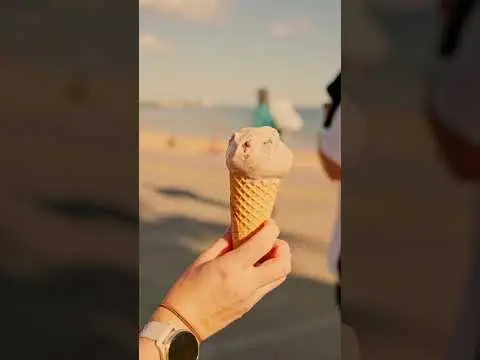 Youtube post thumbnail