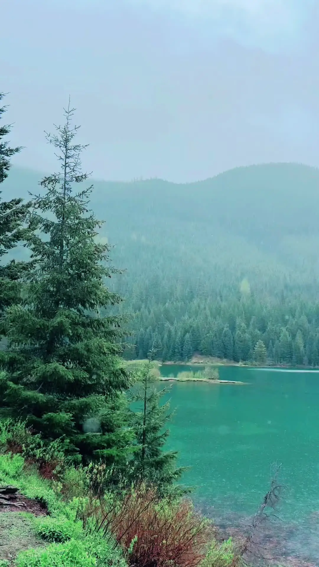 Tiktok post preview 2 from @moneymakingmommi