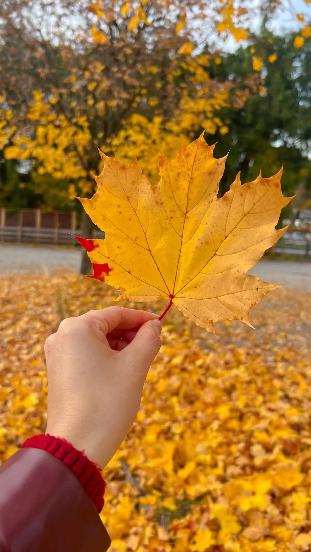 Instagram post thumbnail