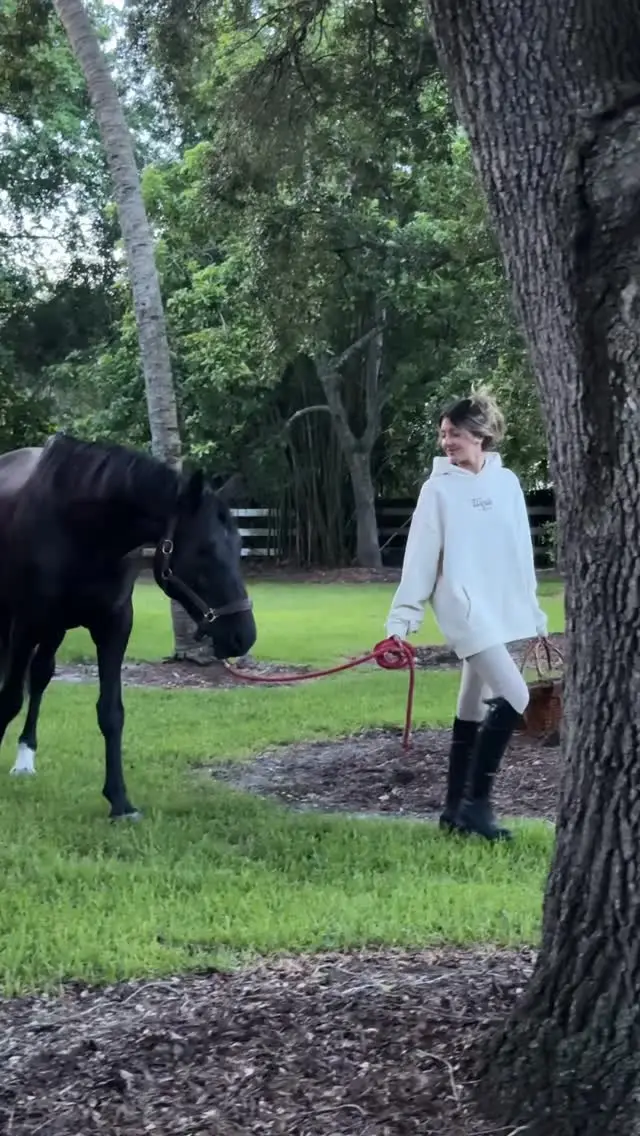 Instagram post preview 1 from samiwi_horsegirlie305