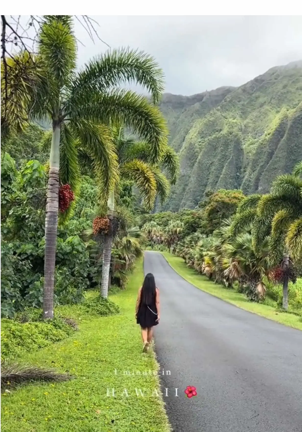 Tiktok post preview 1 from @dinaramixt